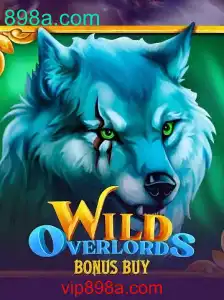 Explorando WildOverlordsBonusBuy: Regras e Estratégias
